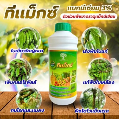 ทีเเม็กซ์