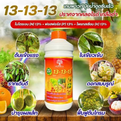 13-13-13 เทนพาวท์