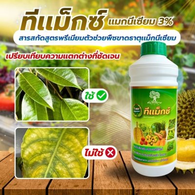 ทีเเม็กซ์