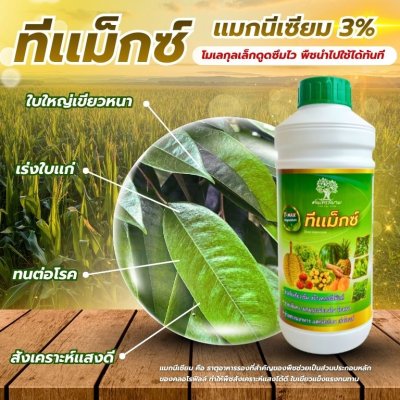 ทีเเม็กซ์