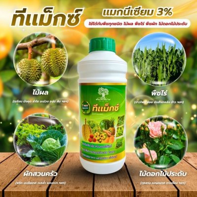 ทีเเม็กซ์