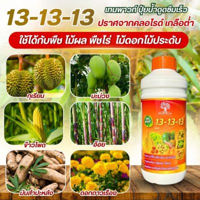 13-13-13 เทนพาวท์