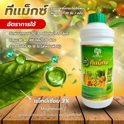 ทีเเม็กซ์