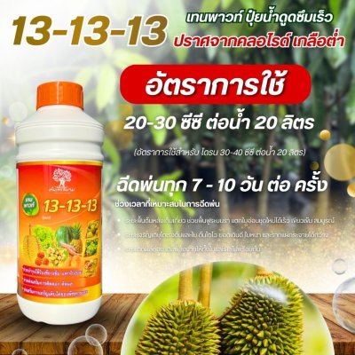 13-13-13 เทนพาวท์