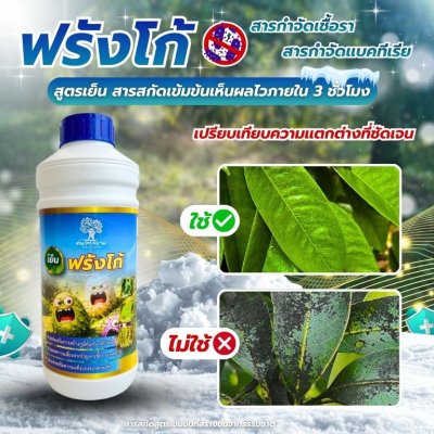 ฟรังโก้