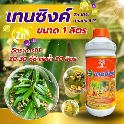 เทนซิงค์