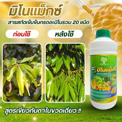มิโนเเม็กซ์