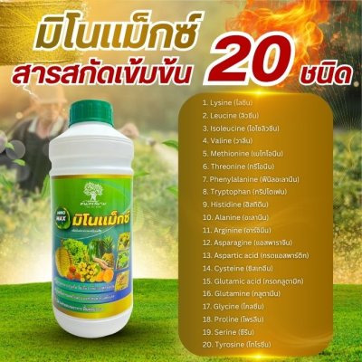 มิโนเเม็กซ์