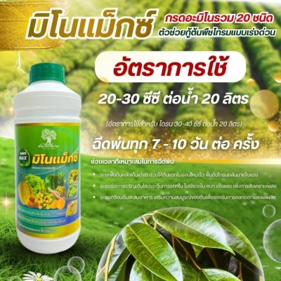 มิโนเเม็กซ์