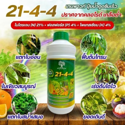 21-4-4 เทนพาวท์