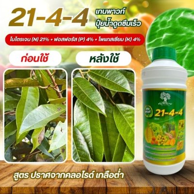 21-4-4 เทนพาวท์