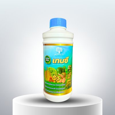 เทนซี