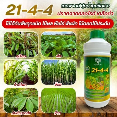 21-4-4 เทนพาวท์