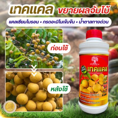 เทคเเคล