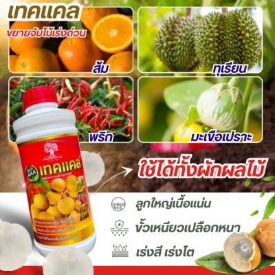 เทคเเคล