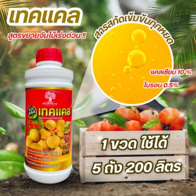 เทคเเคล