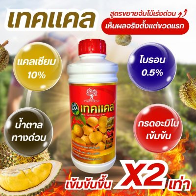 เทคเเคล