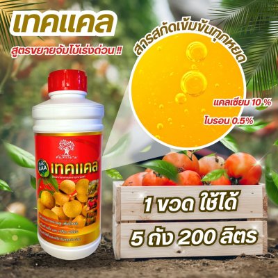 เทคเเคล