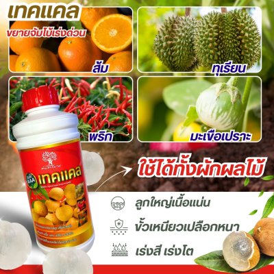 เทคเเคล