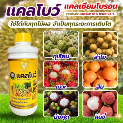 เเคลโบว์