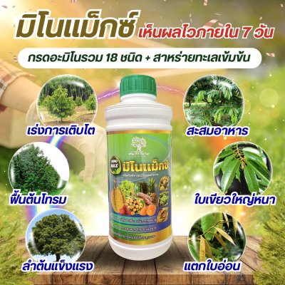 มิโนเเม็กซ์