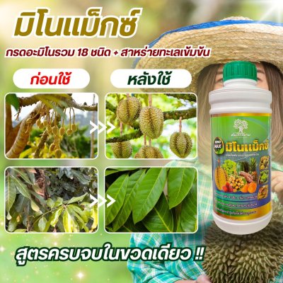 มิโนเเม็กซ์