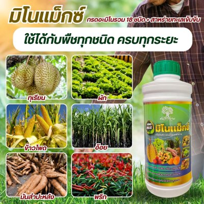 มิโนเเม็กซ์