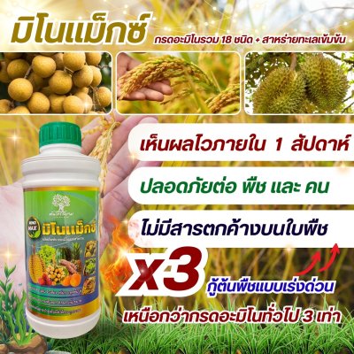มิโนเเม็กซ์