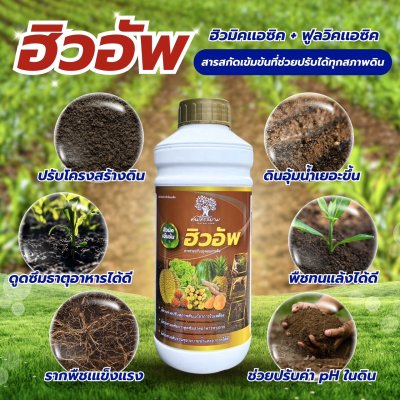 ฮิวอัพ