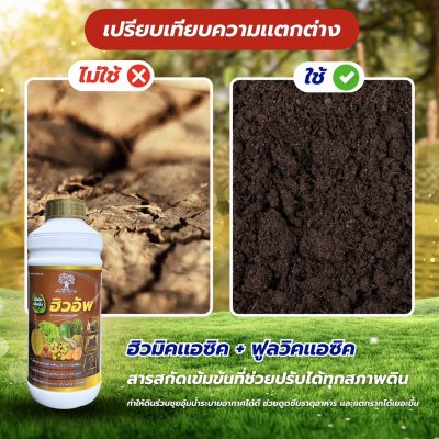 ฮิวอัพ