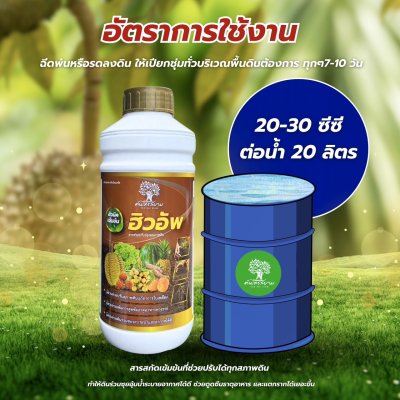 ฮิวอัพ