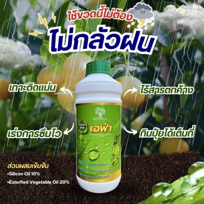 เอฟ่า