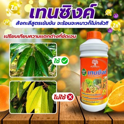 เทนซิงค์