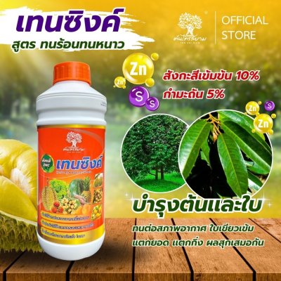 เทนซิงค์