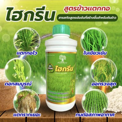 ไฮกรีน