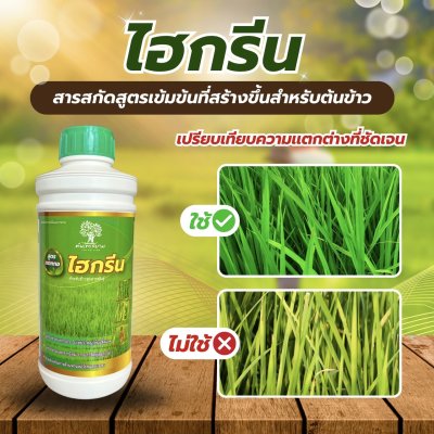 ไฮกรีน