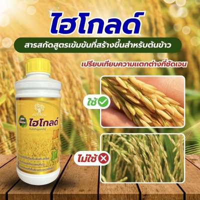ไฮโกลด์