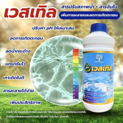 เวสเทิล