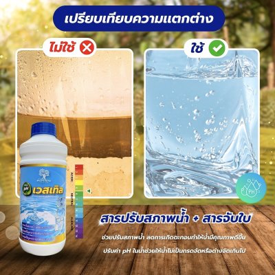 เวสเทิล