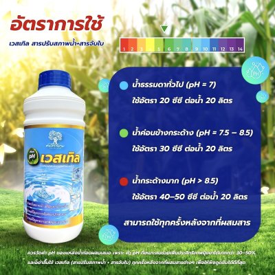 เวสเทิล