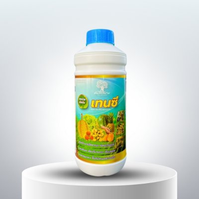 เทนซี