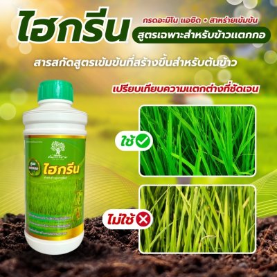 ไฮกรีน