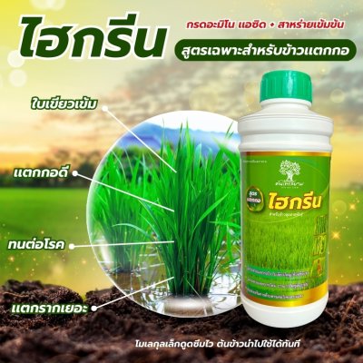 ไฮกรีน