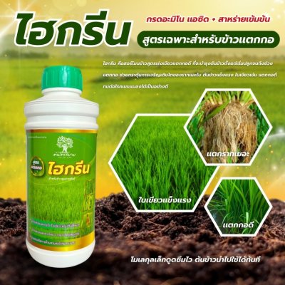 ไฮกรีน