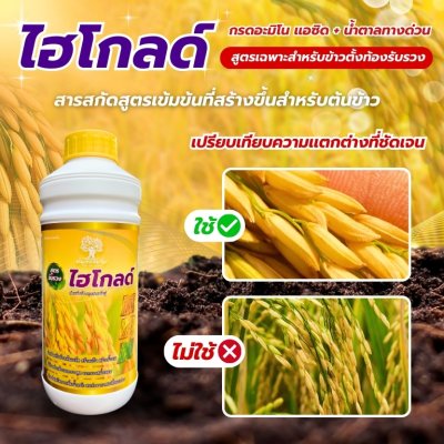 ไฮโกลด์