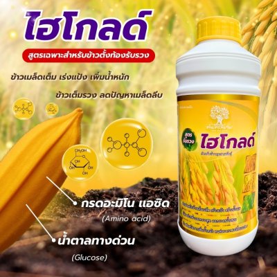 ไฮโกลด์