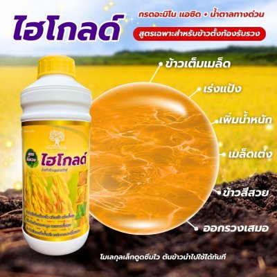 ไฮโกลด์