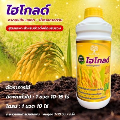 ไฮโกลด์