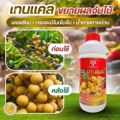 เทนเเคล