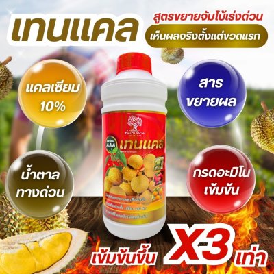 เทนเเคล